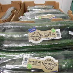 Cucumbers (Large) 3 large pack
