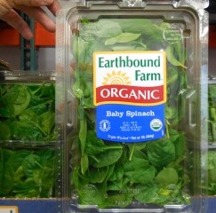 Earthbound Farm Organic Baby Spinach 1lb 96716