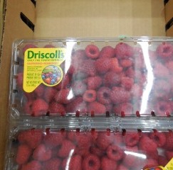Raspberries 18oz