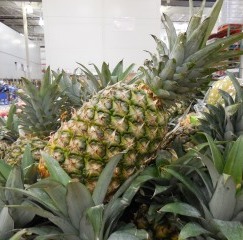 Pineapple (fresh whole) 8789