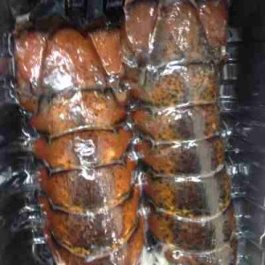 Maine Lobster Tails