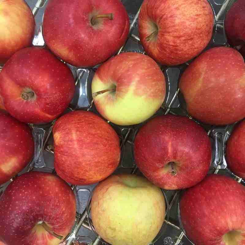Organic Gala Apples 5.5lbs 969425 - South's Market