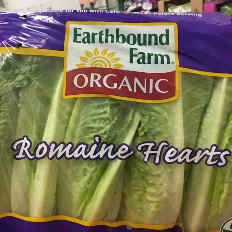 romaine lettuce or romaine hearts romaine lettuce or romaine hearts